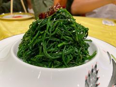炝拌草原沙葱-德乐海蒙餐