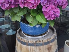 -MONICH牛排融合餐厅(和义大道购物中心店)