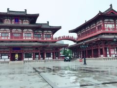 -西安青龙寺遗址景区