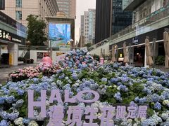 -HALO广场(梨园路店)