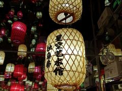 -深圳独角兽星空艺术馆