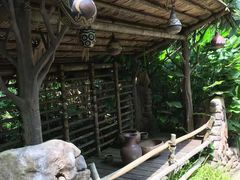 -新加坡植物园