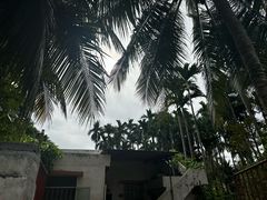 -三亚西岛海洋文化旅游区