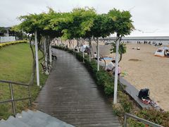 -碧海金沙