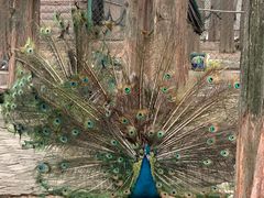 -南京金牛湖风景区