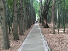 -同里国家湿地公园