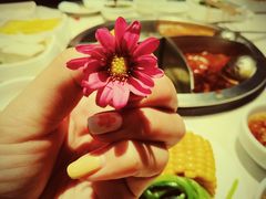 -海底捞火锅(铁西万达店)
