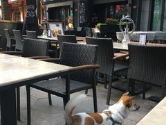 露天位-Shanghai Brew House上海啤酒工坊(老外街店)