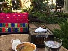 -Fern Forest Cafe