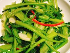 素炒油白菜-海尔巴格一甸茶餐厅(团结路店)