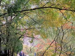 -碓臼峪自然风景区