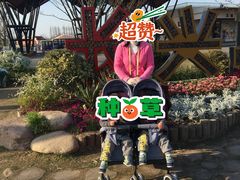 -上海长兴岛郊野公园