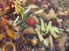 -老板恋上鱼(恒隆广场店)