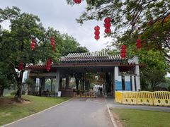 -顺峰山公园