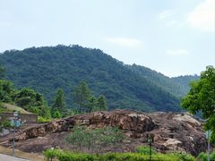 -广州白江湖森林公园