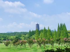 -宜兴龙背山森林公园