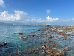 -阿浪海鲜连锁•海鲜加工•老字号(第一市场店)