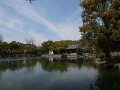 -山里人姜汁(府东小区店)