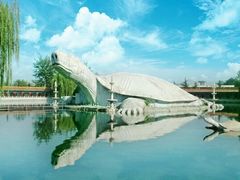 -东方巨龟苑景区