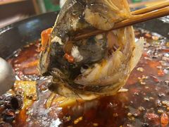 -鸿顺老铁锅美蛙鱼府(解放碑店)