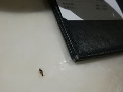 -绿茵阁(体育西分店)