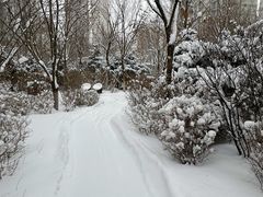 -长白岛森林公园