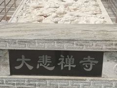-大悲禅寺