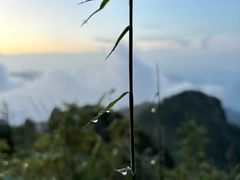 -终南山国家森林公园