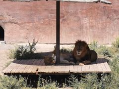 -新疆天山野生动物园