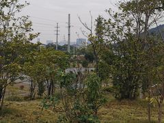 -呼吸森林·生态农庄农家乐私房菜