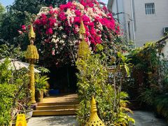 -品德宏·孔雀宴的发源地(金塔园店)