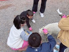 -前小桔亲子创意农场·草莓采摘·露营烧烤