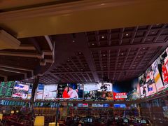 -拉斯维加斯永利酒店