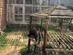-临沂动植物园