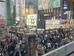 -蟹道乐(道顿堀本店)