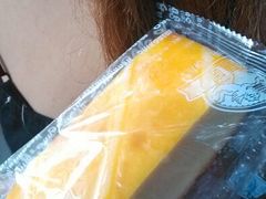 乳酪蛋糕-喜莲娜动物奶油生日蛋糕(箭盘店)