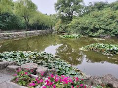 -淄博聊斋城景区