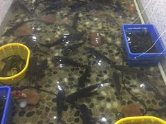 -白洋淀灶台鱼(名佳花园店)