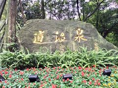 -青城道汤池