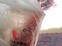 -十二中草莓冰·红豆沙冰屋(十二中店)
