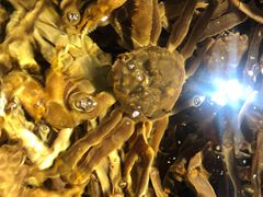 -蟹之国·精品蟹料理(极地店)