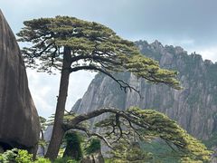 -黄山玉屏楼宾馆餐厅