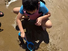 -金海湾海鲜排档(朱家尖店)
