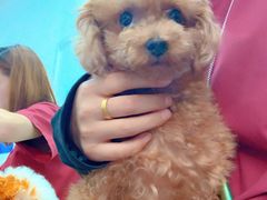 -北京恒爱动物医院(清景园分院)