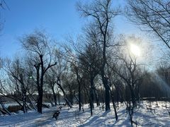 -长春市南湖公园