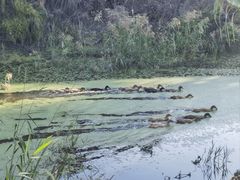 -小洋口旅游度假区
