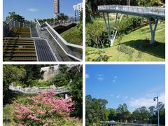 -广州雕塑公园