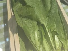 -番食园鲜食火锅(高新店)