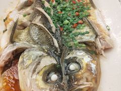 -千岛湖品鱼馆(钓鱼岛店)