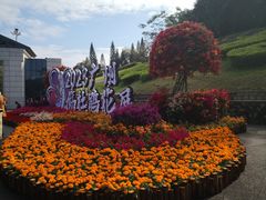 -广州市白云山风景名胜区